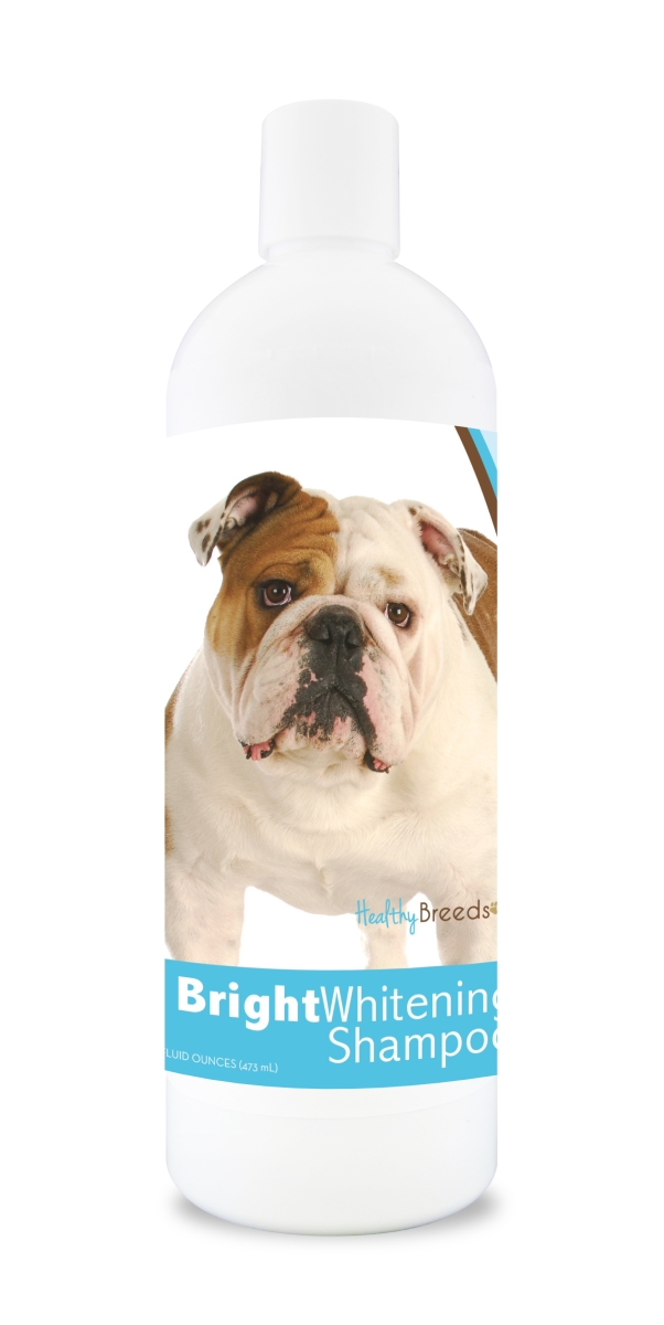 Picture of Healthy Breeds 840235103981 12 oz Bulldog Bright Whitening Shampoo