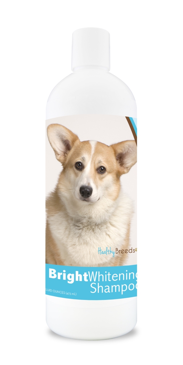Picture of Healthy Breeds 840235104575 12 oz Cardigan Welsh Corgi Bright Whitening Shampoo