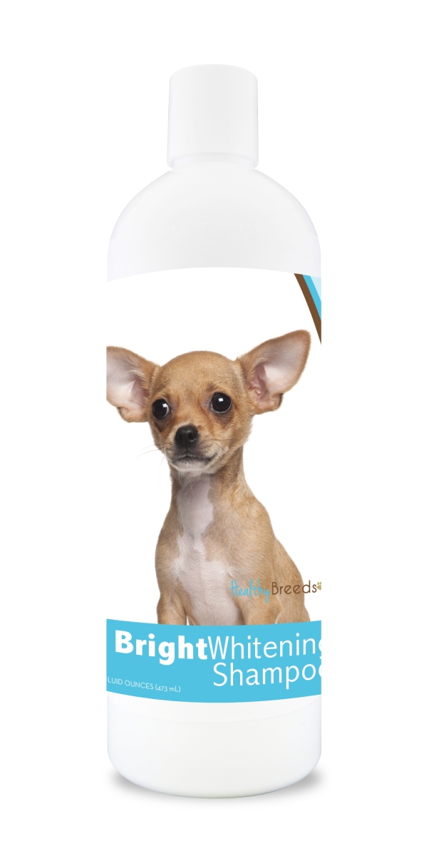 Picture of Healthy Breeds 840235104704 12 oz Chihuahua Bright Whitening Shampoo
