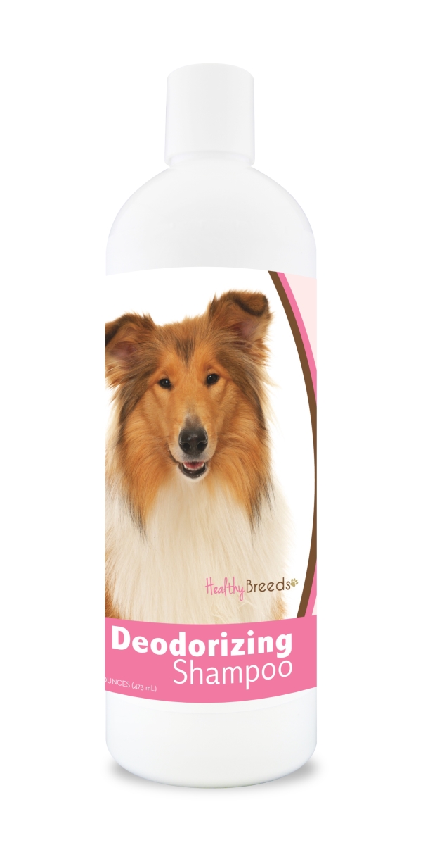 840235104995 16 oz Collie Deodorizing Shampoo