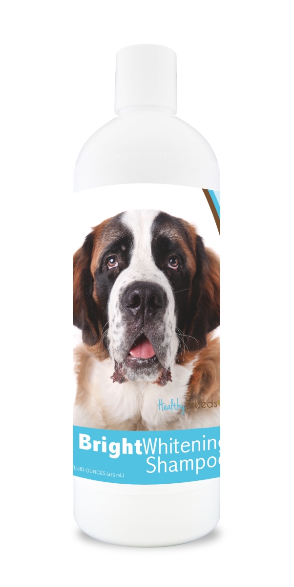 Picture of Healthy Breeds 840235115038 12 oz Saint Bernard Bright Whitening Shampoo