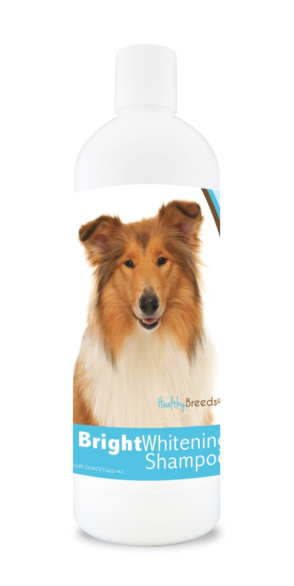 Picture of Healthy Breeds 840235105008 12 oz Collie Bright Whitening Shampoo