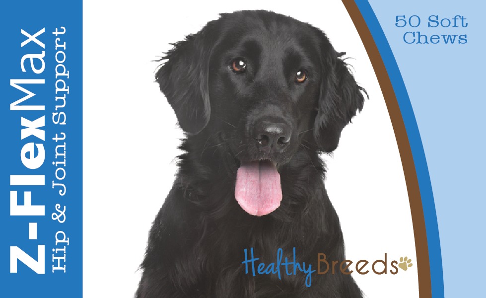 840235107002 Flat Coated Retriever Z-Flex Max Hip & Joint Soft Chews - 50 count