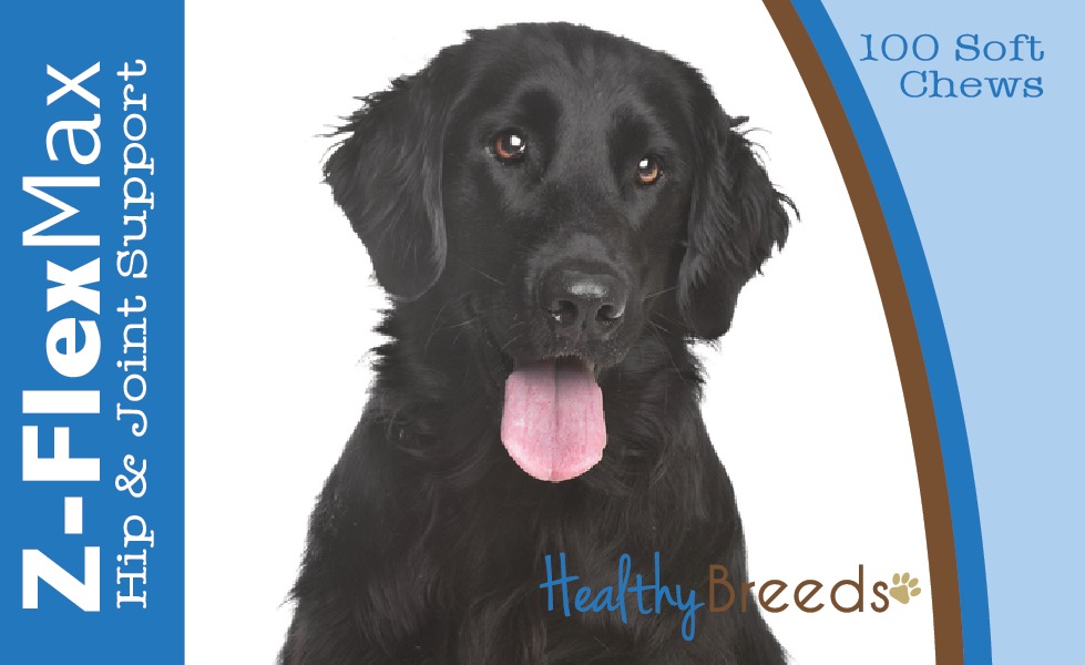 Picture of Healthy Breeds 840235107019 Flat Coated Retriever Z-Flex Max Hip & Joint Soft Chews - 100 count