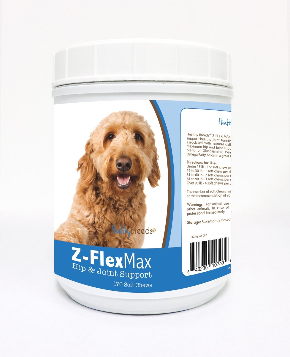 Picture of Healthy Breeds 840235107439 Goldendoodle Z-Flex Max Hip & Joint Soft Chews - 170 count