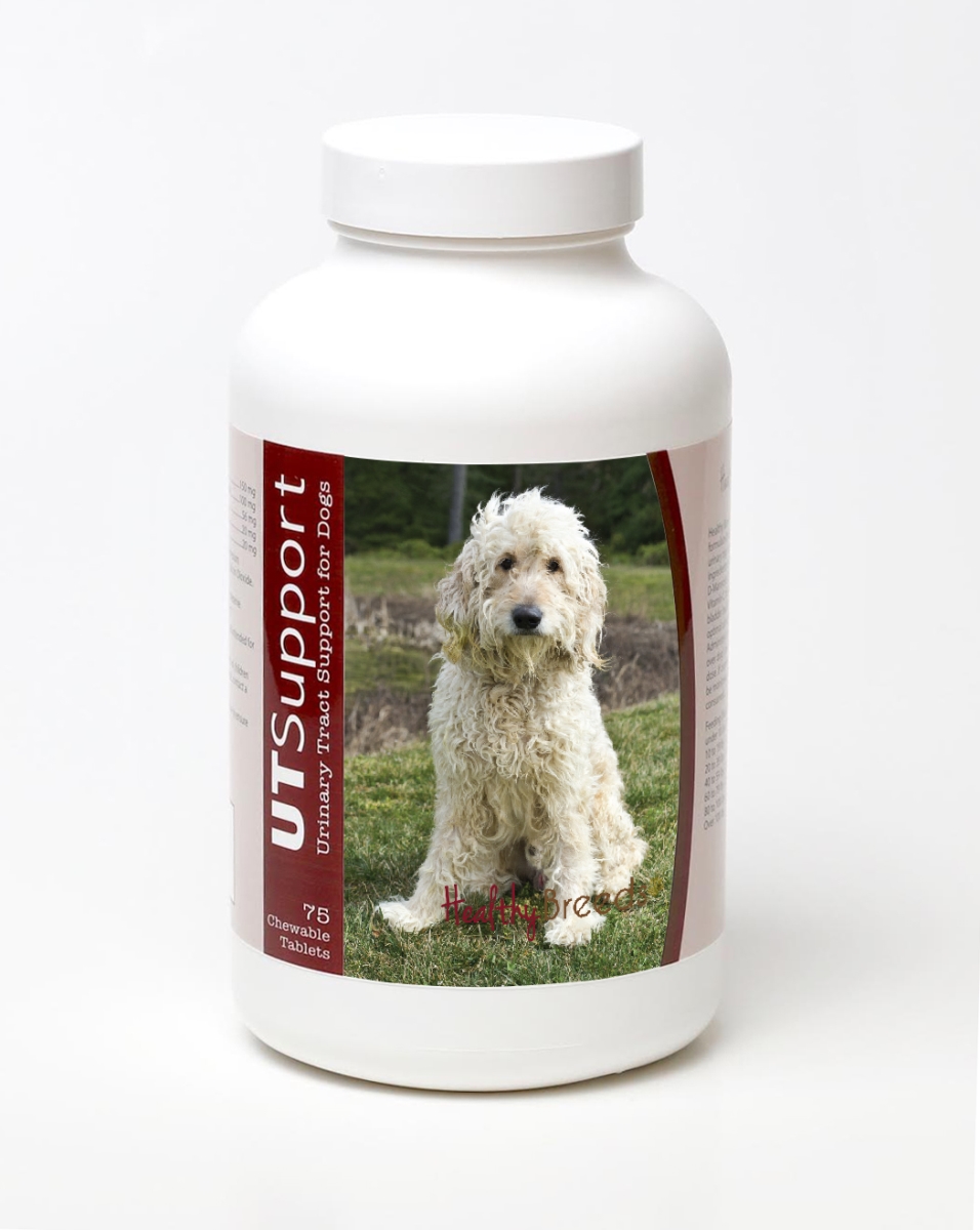 840235143727 Goldendoodle Cranberry Chewables - 75 Count