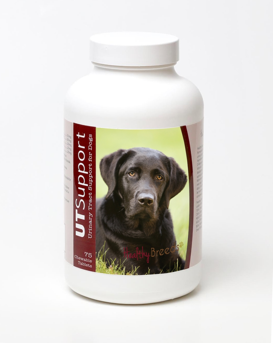 840235144076 Labrador Retriever Cranberry Chewables - 75 Count