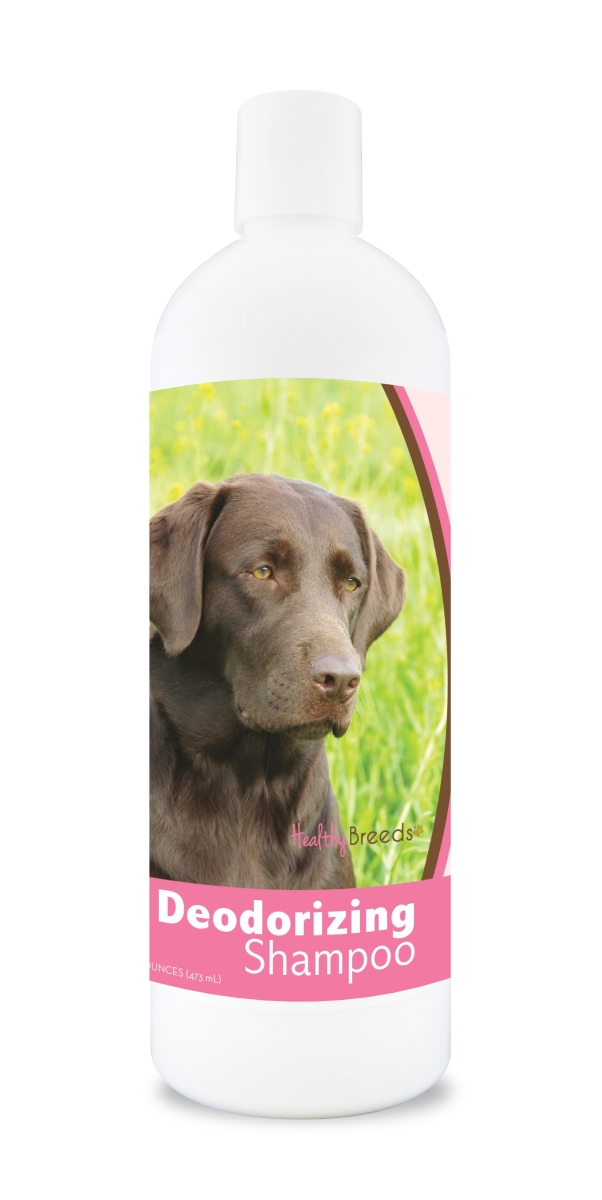 16 oz Labrador Retriever Deodorizing Shampoo with Aloe