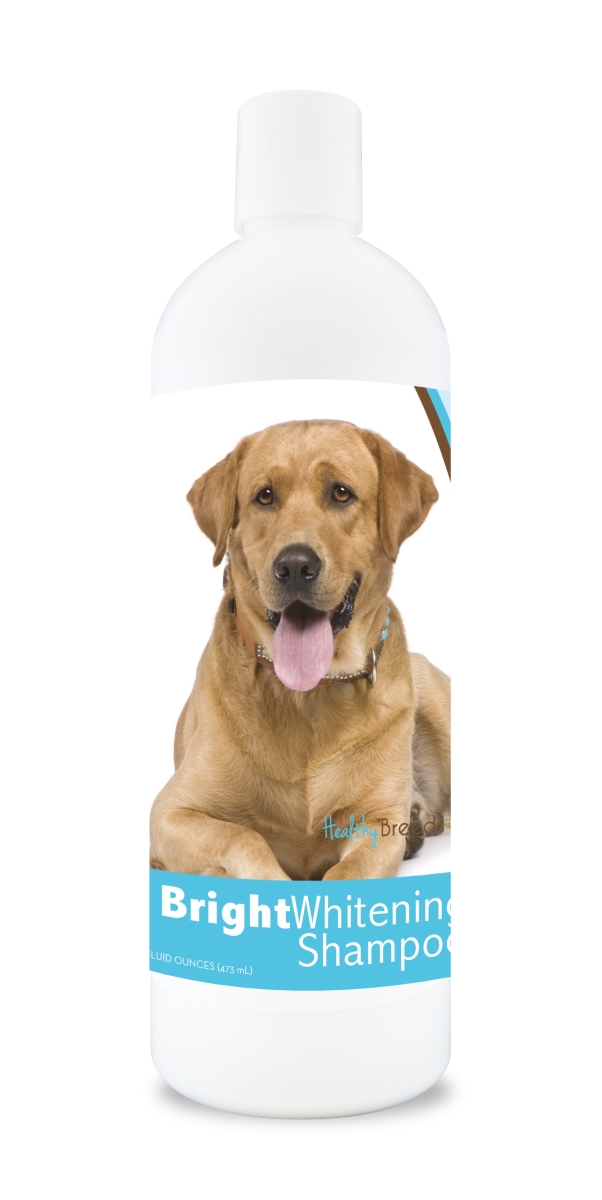 Picture of Healthy Breeds 840235109617 12 oz Labrador Retriever Bright Whitening Shampoo