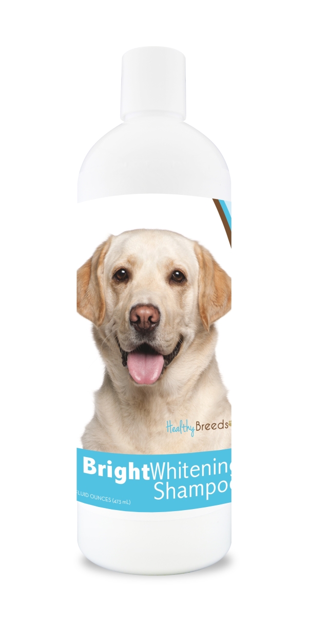 Picture of Healthy Breeds 840235109624 12 oz Labrador Retriever Bright - Whitening Shampoo