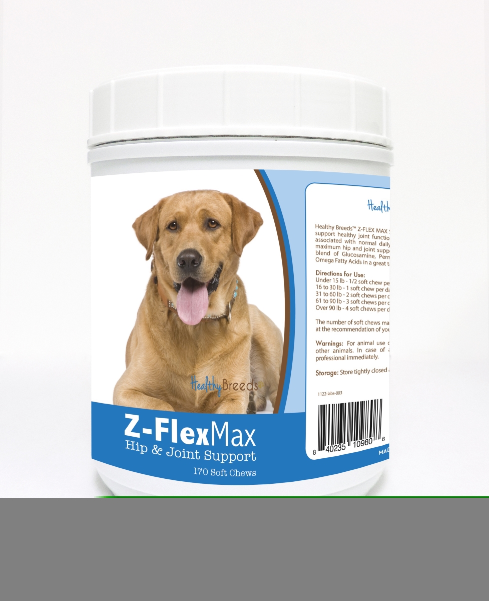 Picture of Healthy Breeds 840235109808 Labrador Retriever Z-Flex Max Hip & Joint Soft Chews - 170 Count