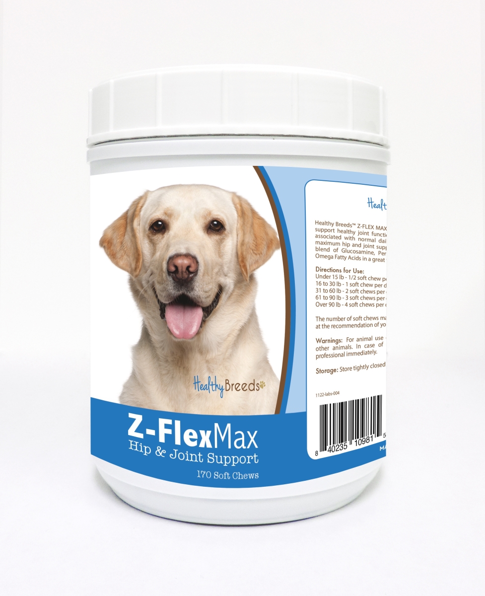 Picture of Healthy Breeds 840235109815 Labrador Retriever Z-Flex Max Hip & Joint Soft Chews - 170 Count