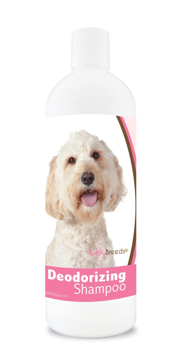 840235110071 16 oz Labra Doodle Deodorizing Shampoo