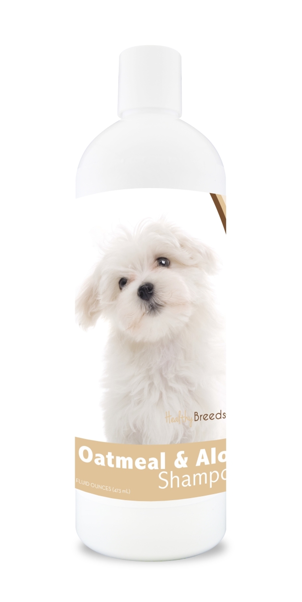 Picture of Healthy Breeds 840235110590 16 oz Maltese Oatmeal Shampoo with Aloe
