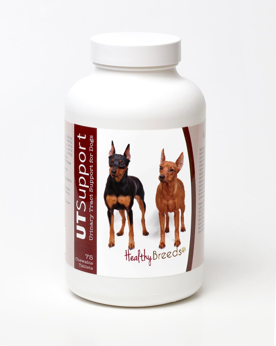 840235144427 Miniature Pinscher Cranberry Chewables - 75 Count