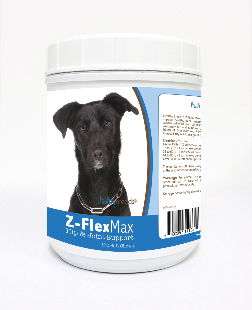Picture of Healthy Breeds 840235111337 Mutt Z-Flex Max Hip & Joint Soft Chews - 170 Count