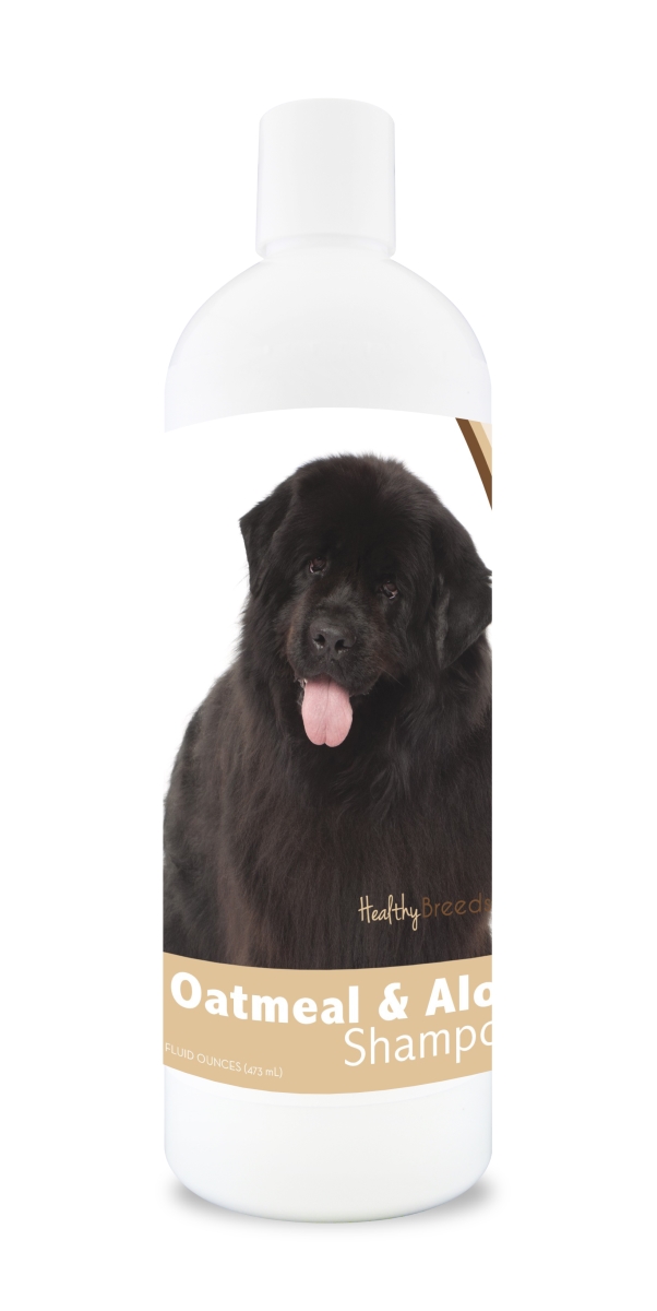 Picture of Healthy Breeds 840235111603 16 oz Newfoundl & Oatmeal Shampoo with Aloe