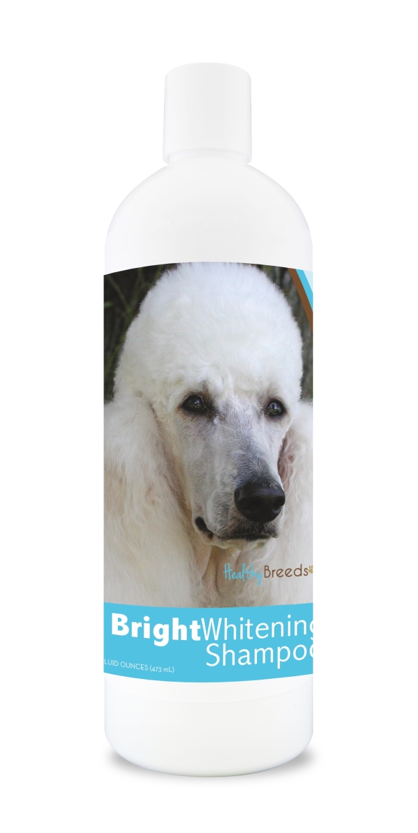 Picture of Healthy Breeds 840235112235 12 oz Poodle Bright Whitening Shampoo