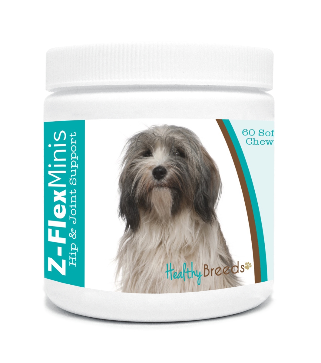 Picture of Healthy Breeds 840235115861 Tibetan Terrier Z-Flex Minis Hip & Joint Support Soft Chews&#44; 60 Count