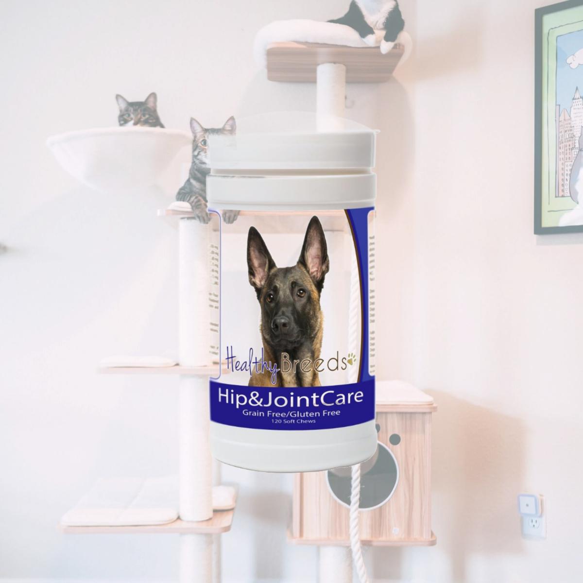 Picture of Healthy Breeds 840235153696 Belgian Malinois Hip and Joint Care