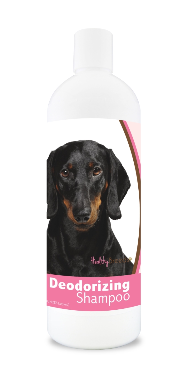 840235117124 16 oz Dachshund Deodorizing Shampoo