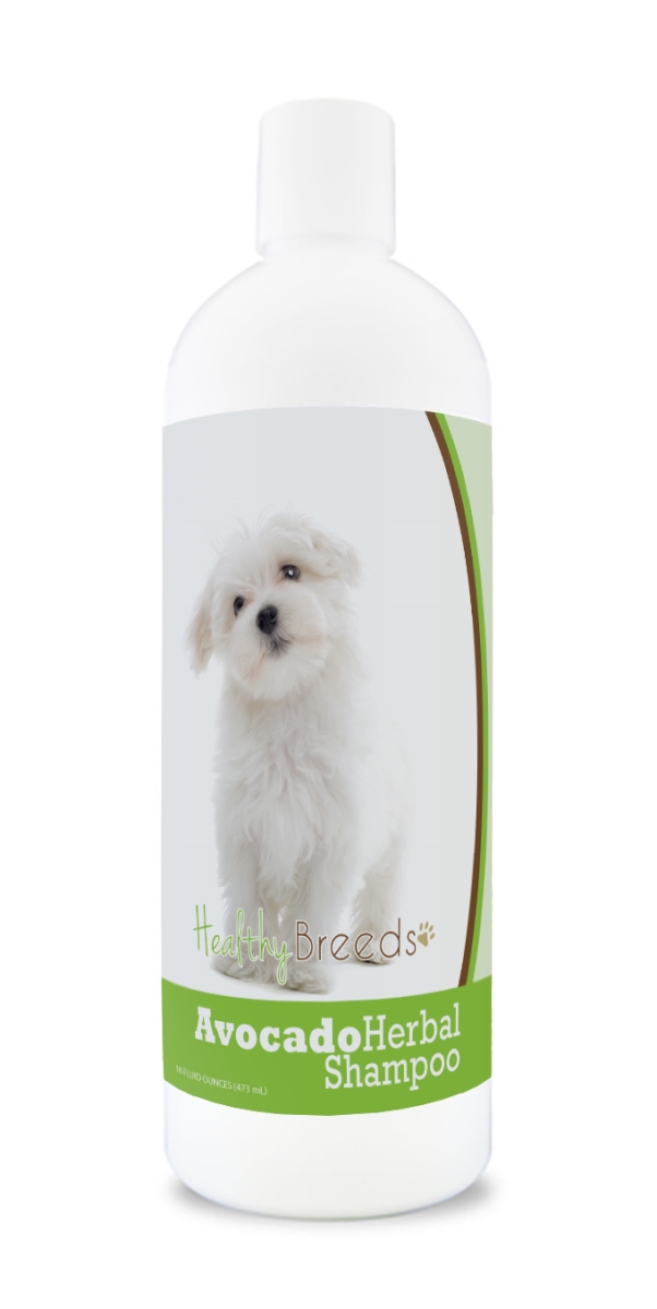Maltese Avocado Herbal Dog Shampoo