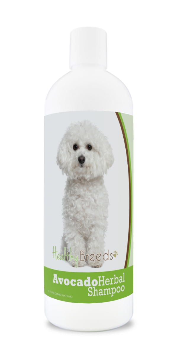 Bichon Frise Avocado Herbal Dog Shampoo
