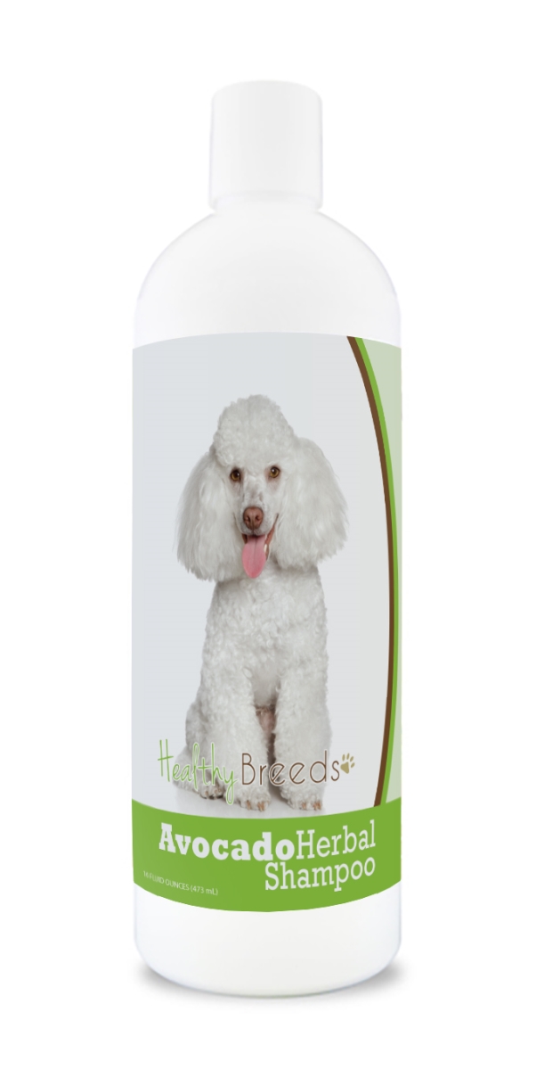 Poodle Avocado Herbal Dog Shampoo