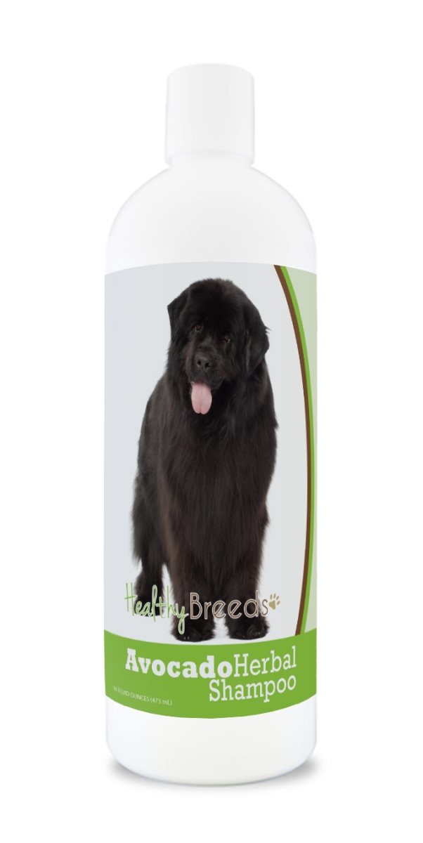 Newfoundland Avocado Herbal Dog Shampoo