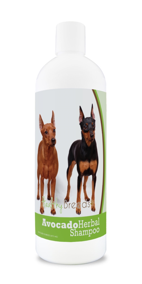 Miniature Pinscher Avocado Herbal Dog Shampoo