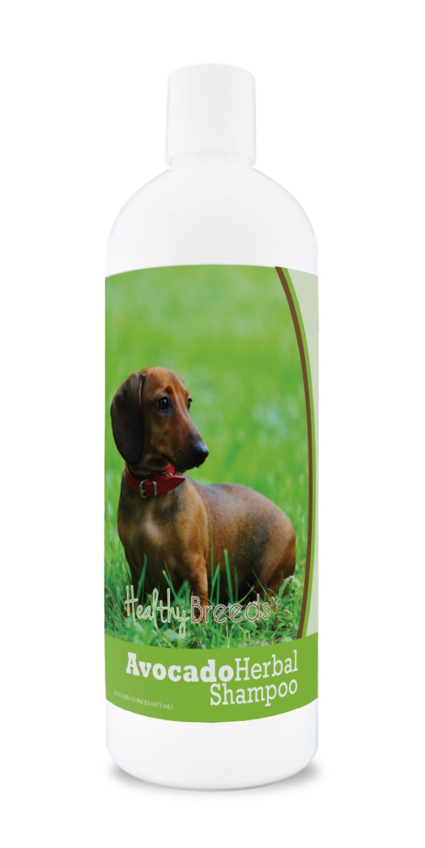 Dachshund Avocado Herbal Dog Shampoo