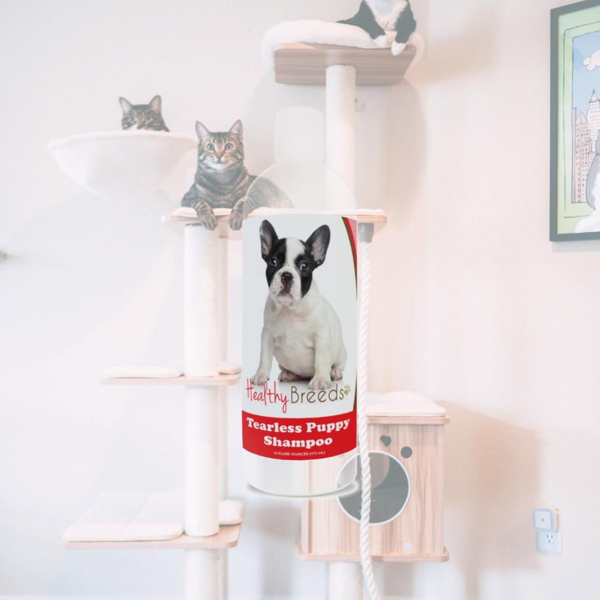 Picture of Healthy Breeds 840235107149 French Bulldog Tearless Puppy Dog Shampoo