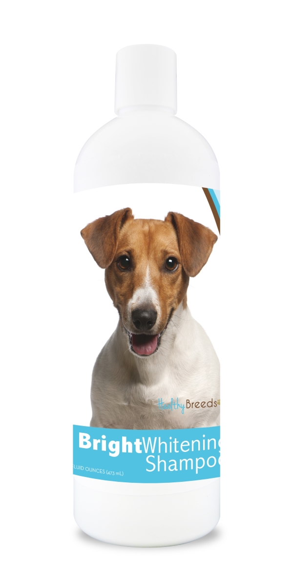 840235117582 12 oz Jack Russell Terrier Bright Whitening Shampoo