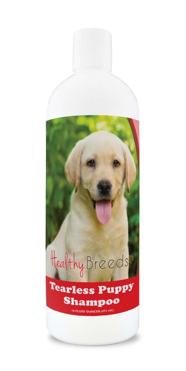 840235109679 Labrador Retriever Tearless Puppy Dog Shampoo -  Healthy Breeds