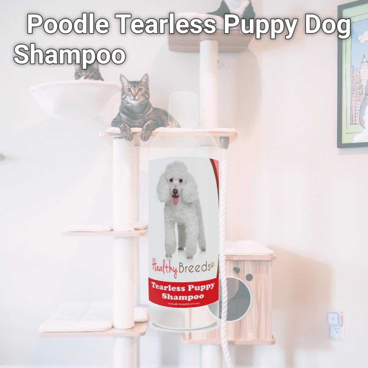 Picture of Healthy Breeds 840235112273 Poodle Tearless Puppy Dog Shampoo