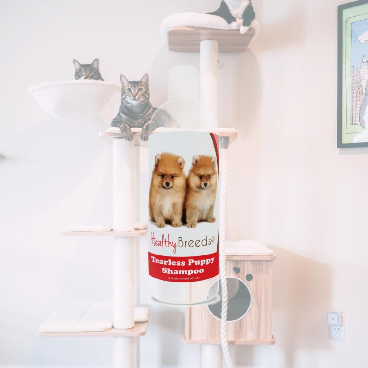 Picture of Healthy Breeds 840235112501 Pomeranian Tearless Puppy Dog Shampoo