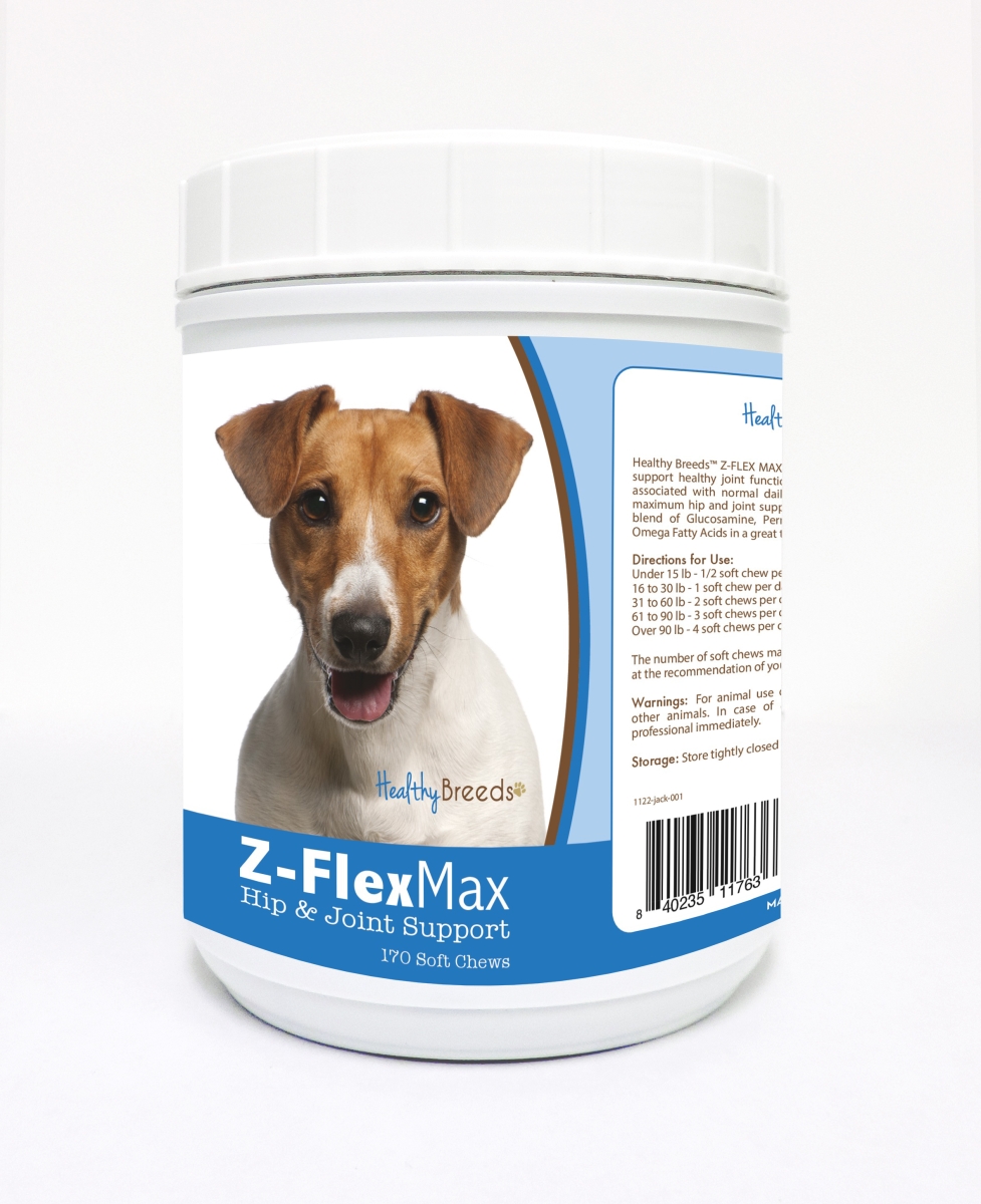 Picture of Healthy Breeds 840235117636 Jack Russell Terrier Z-Flex Max Hip & Joint Soft Chews, 170 Count