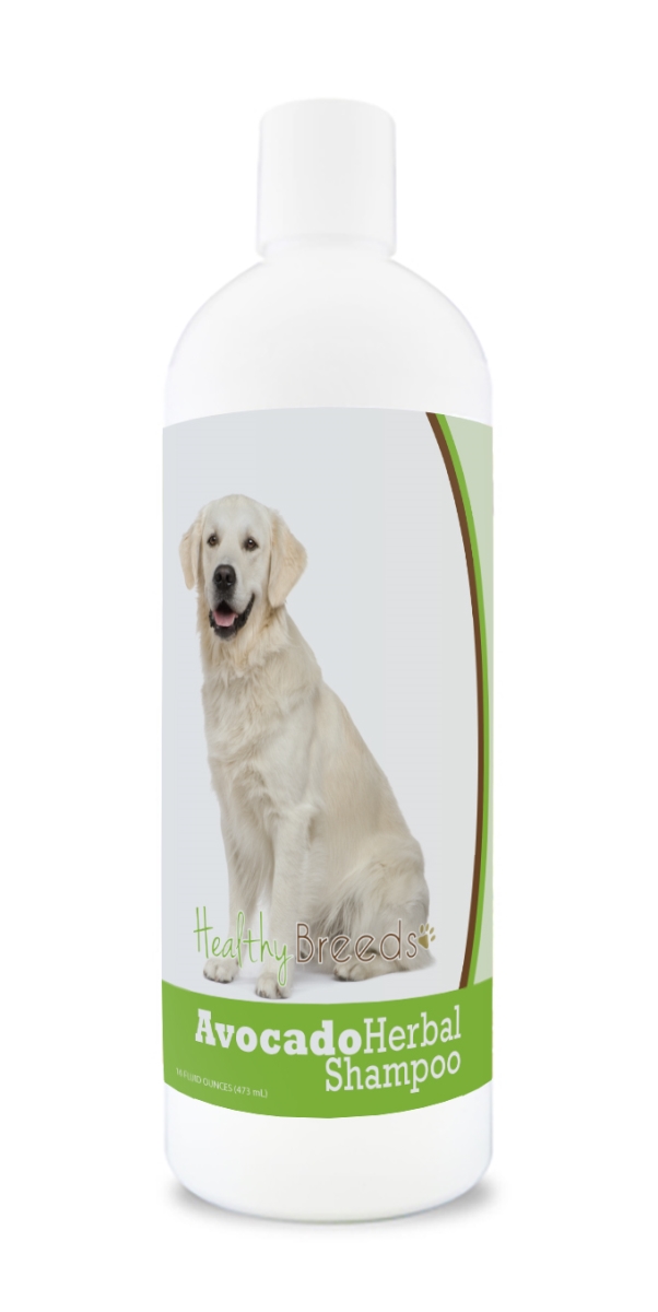 Golden Retriever Avocado Herbal Dog Shampoo