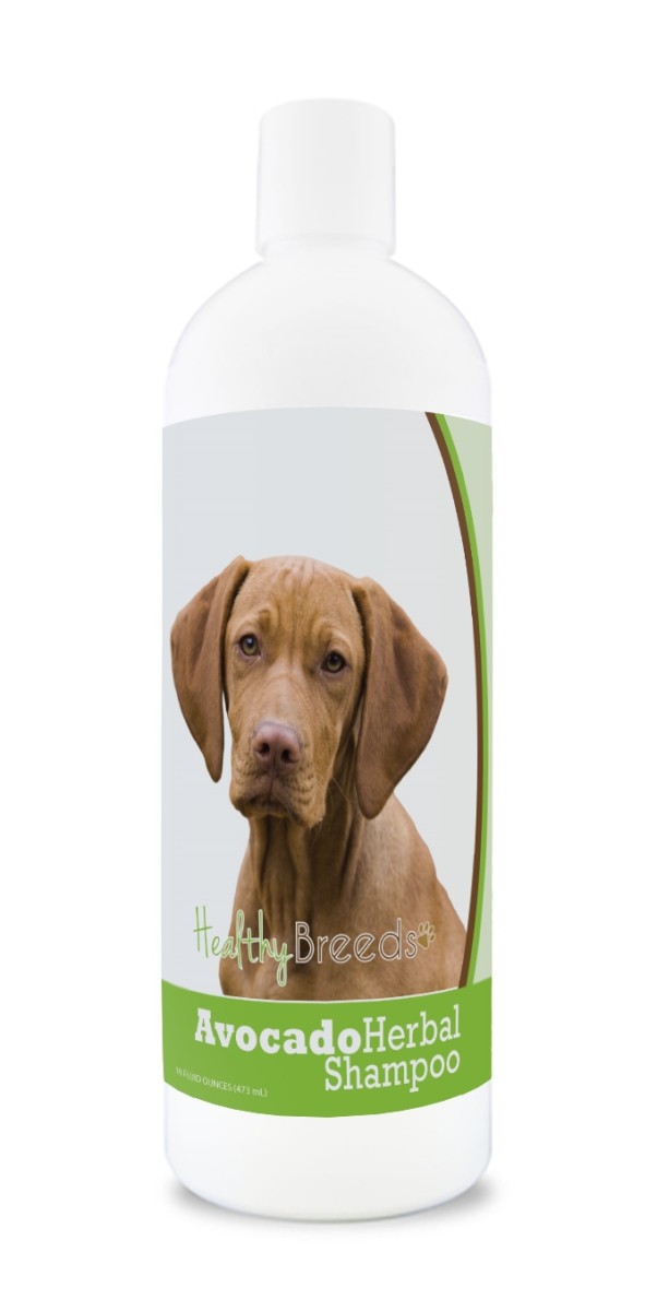 Vizsla Avocado Herbal Dog Shampoo