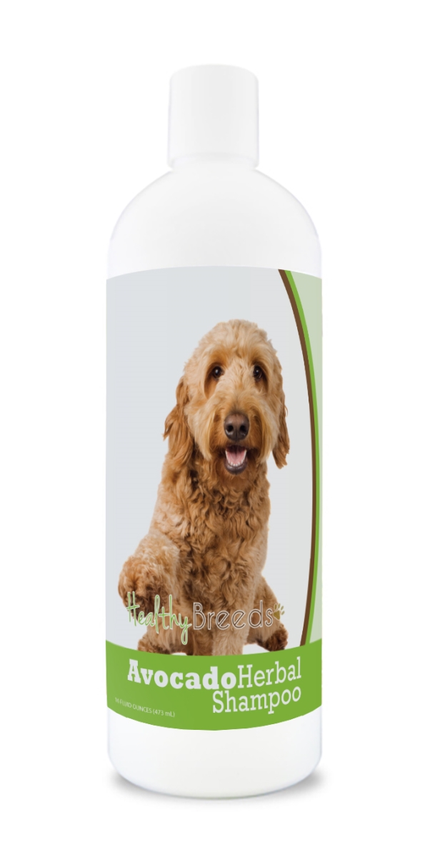 Goldendoodle Avocado Herbal Dog Shampoo