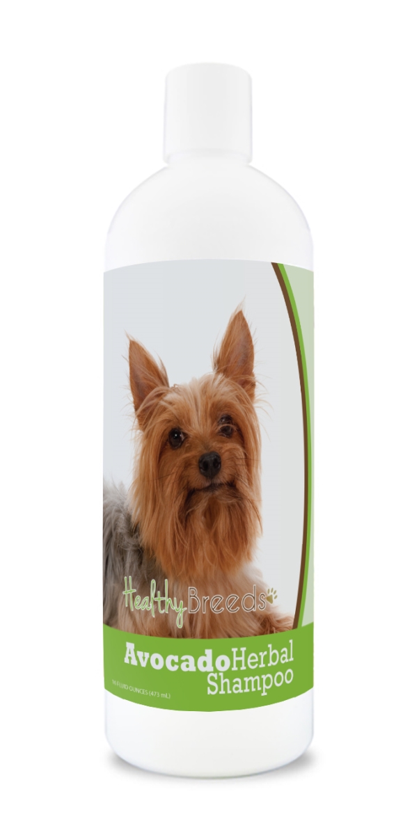 Silky Terrier Avocado Herbal Dog Shampoo