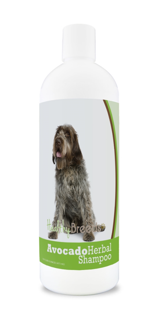 Wirehaired Pointing Griffon Avocado Herbal Dog Shampoo