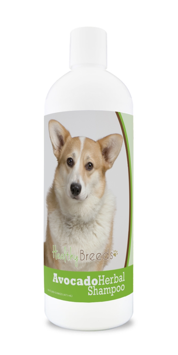 Cardigan Welsh Corgi Avocado Herbal Dog Shampoo
