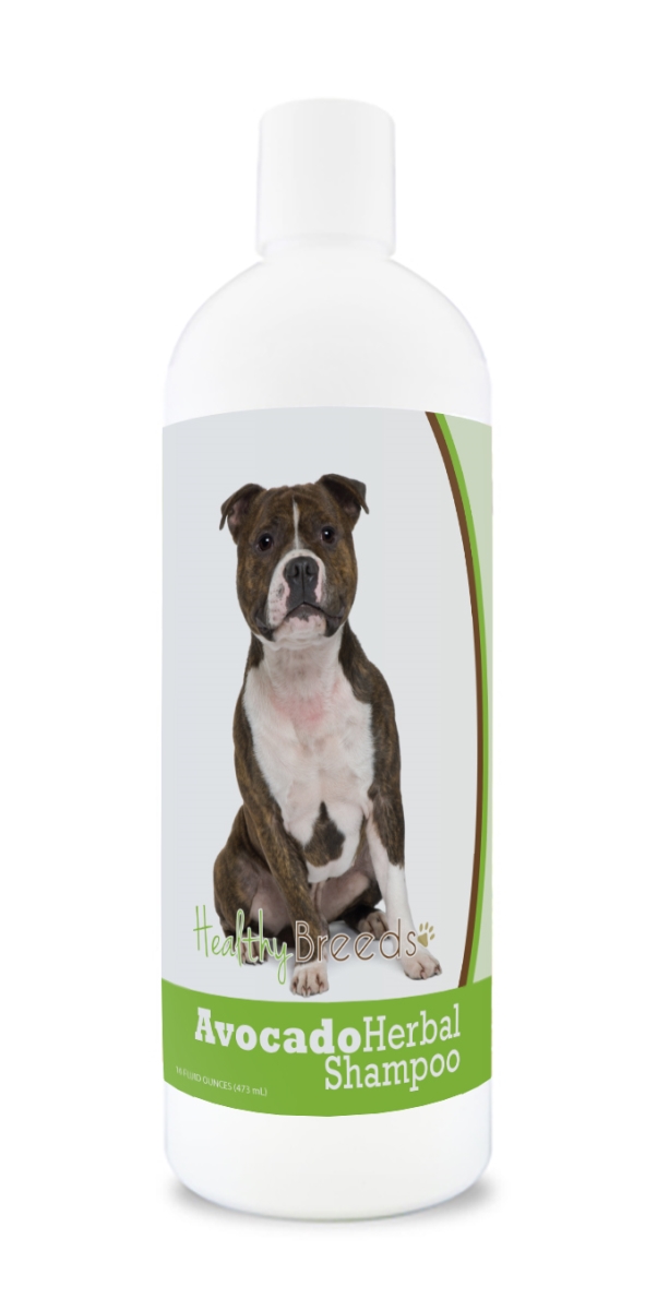 Staffordshire Bull Terrier Avocado Herbal Dog Shampoo