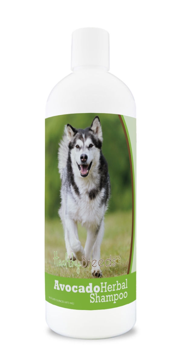 Alaskan Malamute Avocado Herbal Dog Shampoo