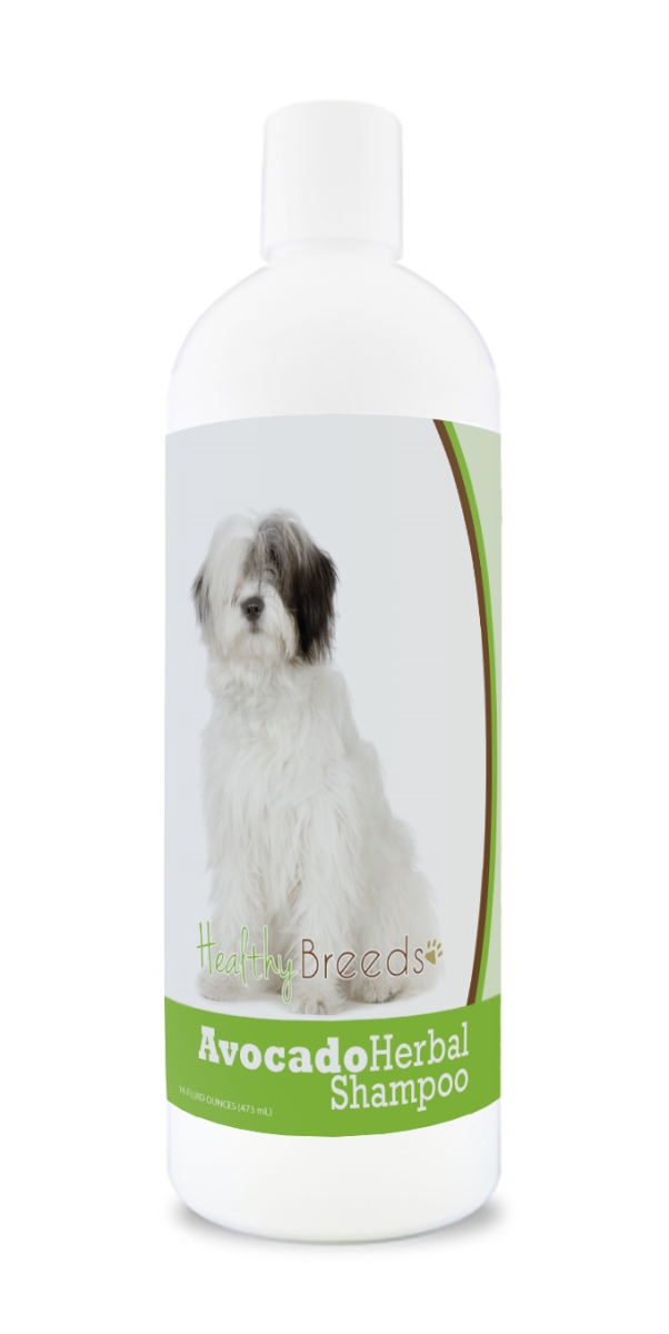 Old English Sheepdog Avocado Herbal Dog Shampoo