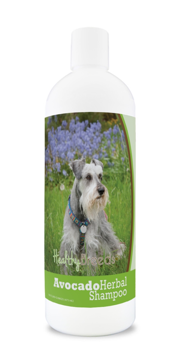 Miniature Schnauzer Avocado Herbal Dog Shampoo