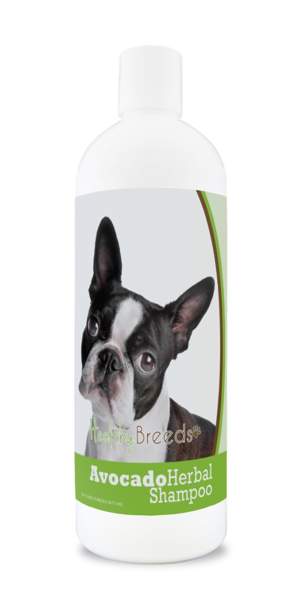 Boston Terrier Avocado Herbal Dog Shampoo