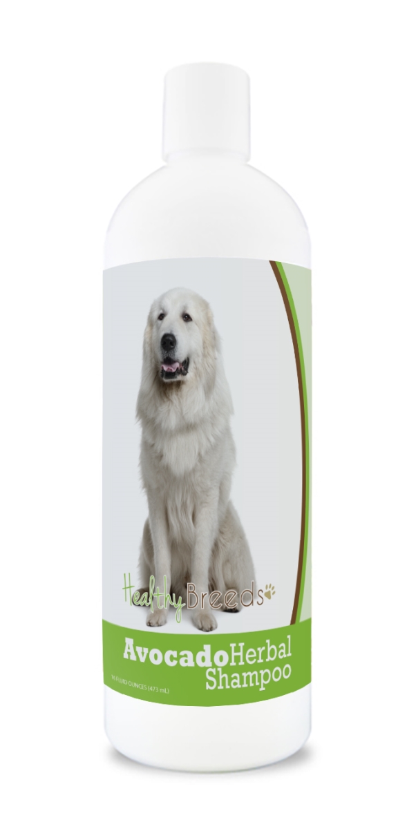 Great Pyrenees Avocado Herbal Dog Shampoo