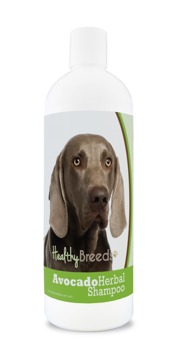 Weimaraner Avocado Herbal Dog Shampoo